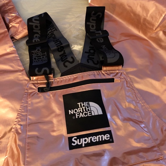Supreme®/The North Face® Metallic Mountain Bib - Picture 2 of 2